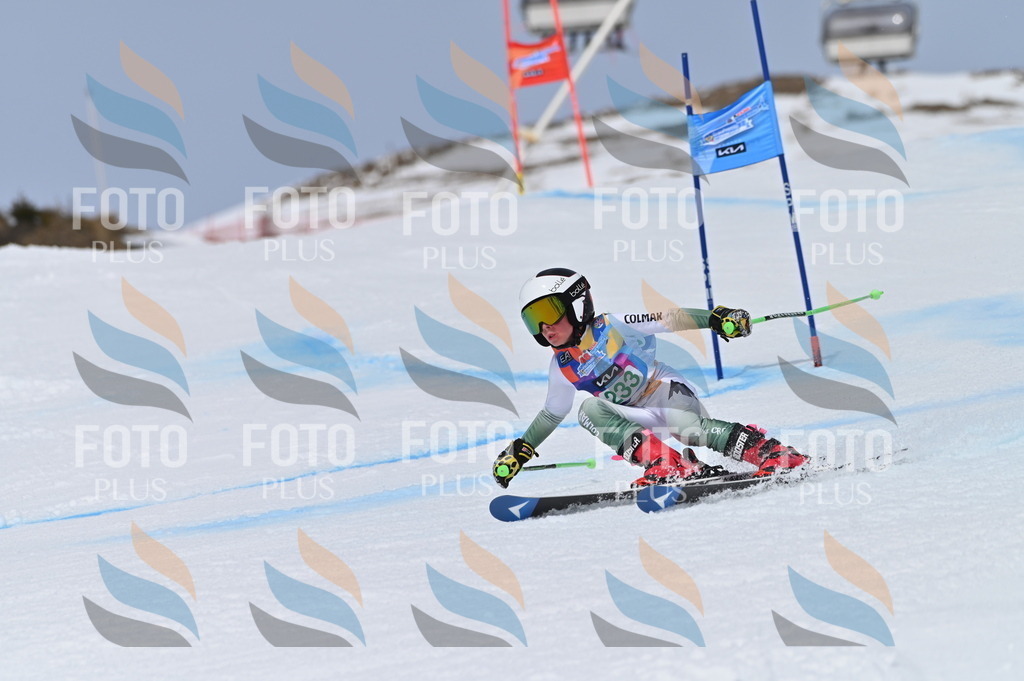 BGV_4626 | holidayphoto