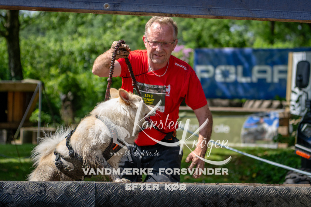1145_ZZ94879 | kk-dogfotos