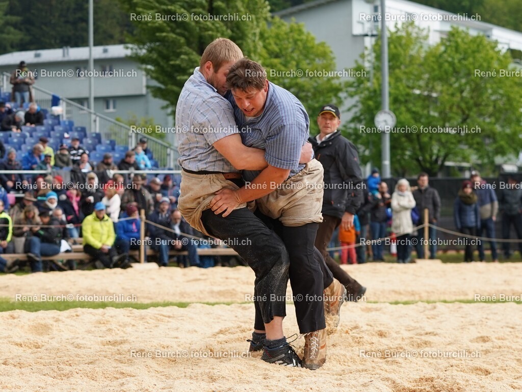 DSC06913 (2) | René Burch leidenschaftlicher Fotograf aus Kerns in Obwalden.  Hier finden sie Sport, Landschaft und Natur Fotografie.
 - Realisiert mit Pictrs.com