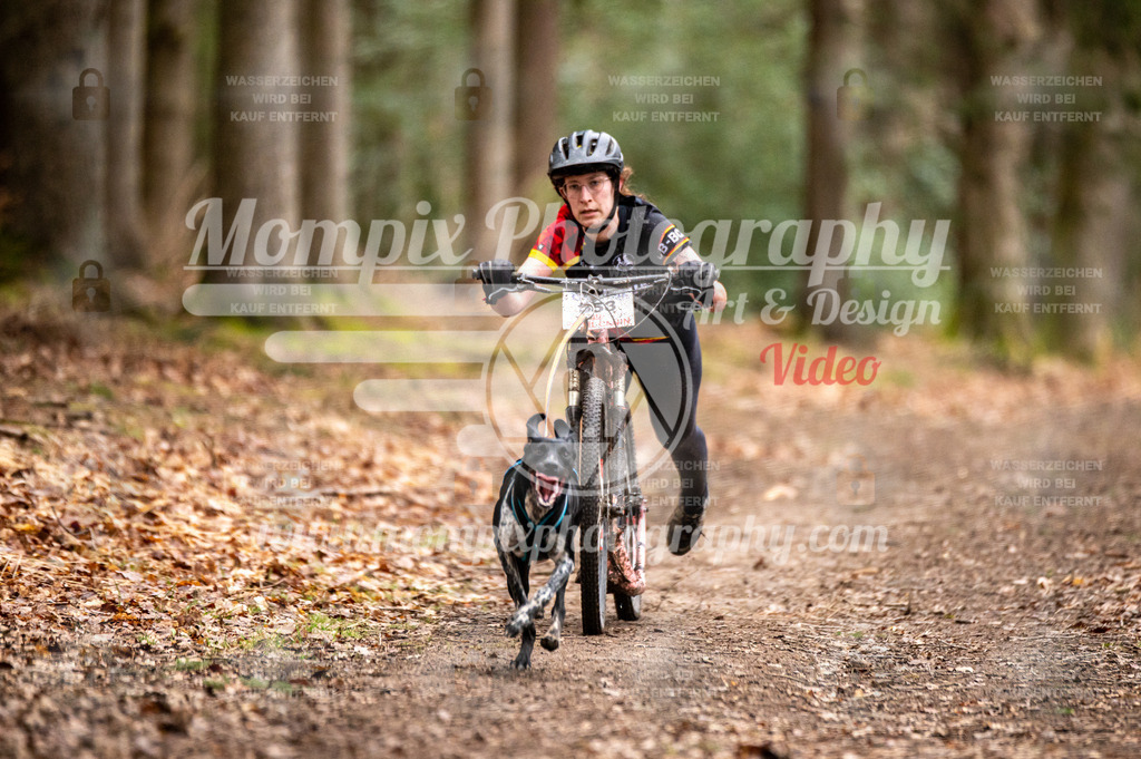 SPA_2023_DIM_Scooter-8 | PayLife