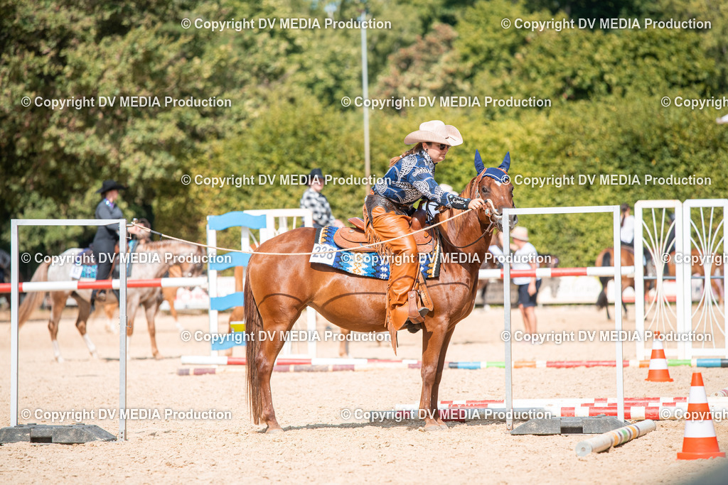 EWP_6834 | dv-media-shop - Realisiert mit Pictrs.com