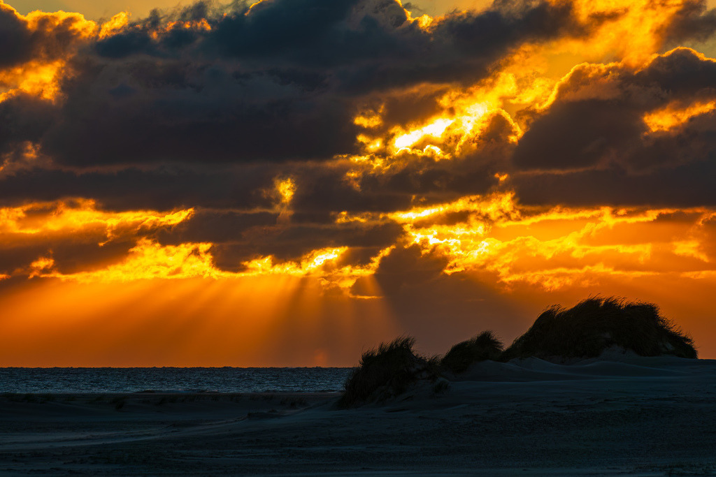 Sonnenuntergang mit Dünen am Strand auf der Nordseeinsel Amrum |  Sonnenuntergang mit Dünen am Strand auf der Nordseeinsel Amrum.                              