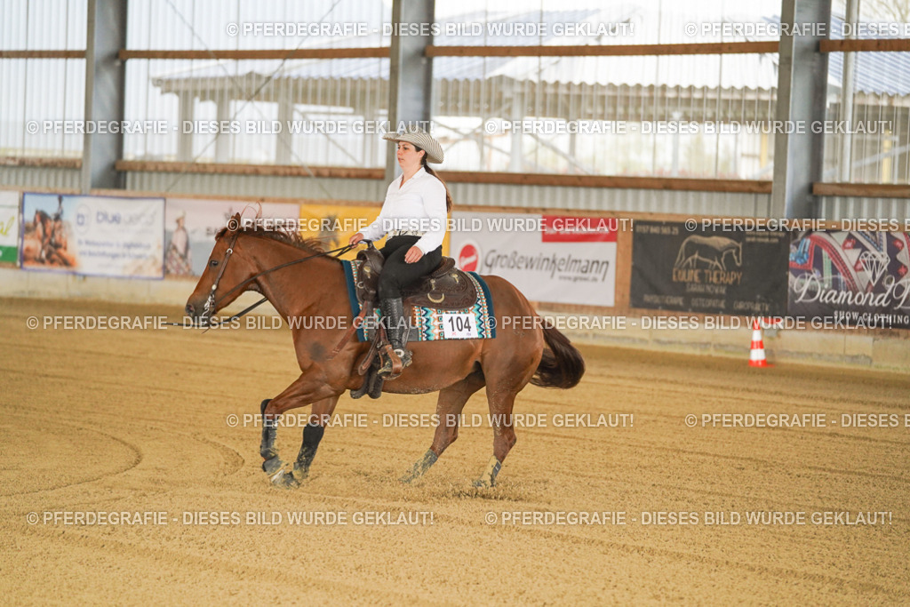 DSC00284 | Pferdegrafie