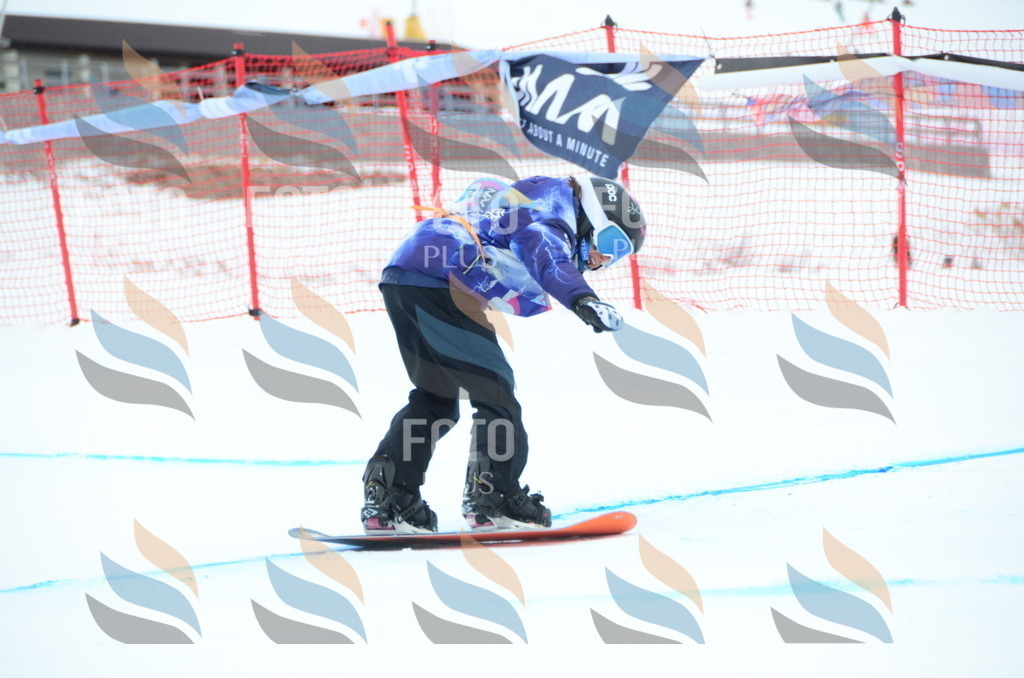 DSC_2311 | holidayphoto