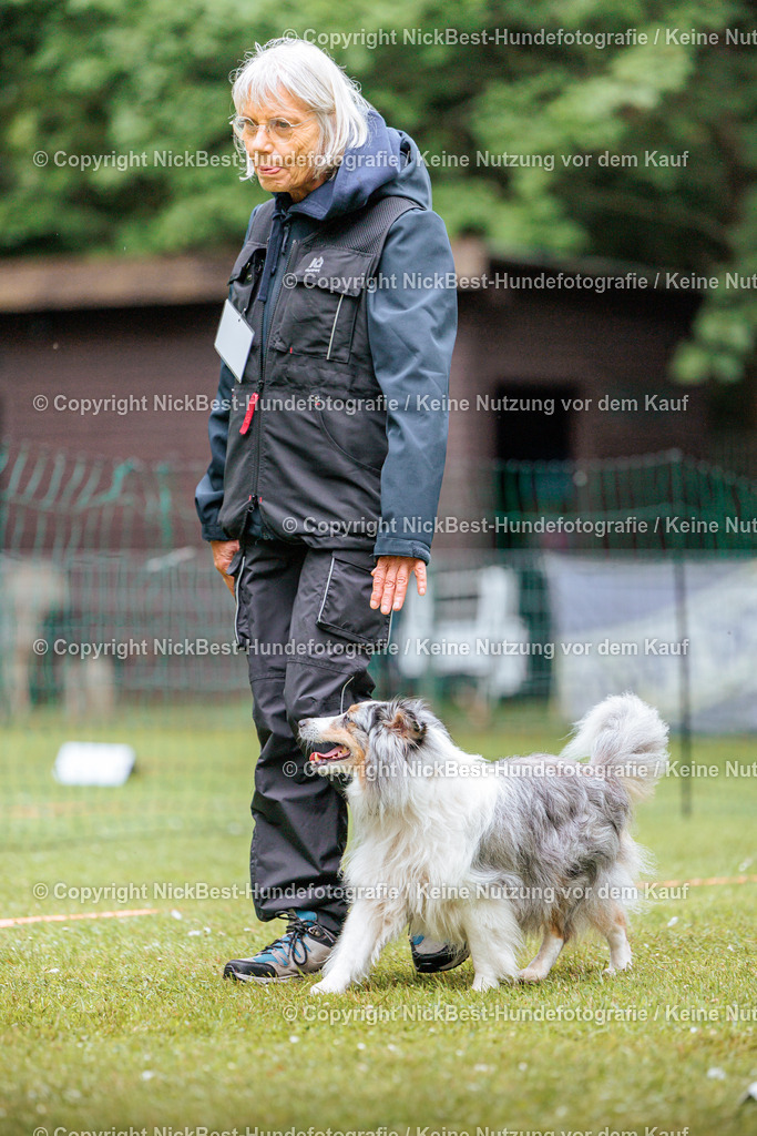 RO-Blumenthal-2026-Nickbest-Hundefotografie-4293 | Dein Hund! Dein Moment! Deine Erinnerungen! Hundefotografie in Bremen Blumenthal. Ich fange die besonderen Momente deines Vierbeiners ein – ob Indoor mit Blitzanlage oder in der freien Natur. Sicher dir dein Moment und dein Termin für eure Erinnerungen.