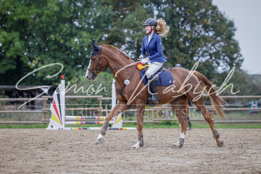 20251012-_3LI3101 | Tierfotografie Pferde, Hunde, Katzen, Haustiere.
Turnierfotografie Reitturniere, Reiten, Springreiten, Dressur in Hanau, dem Main-Kinzig-Kreis und dem Rhein-Main- Gebiet um Frankfurt