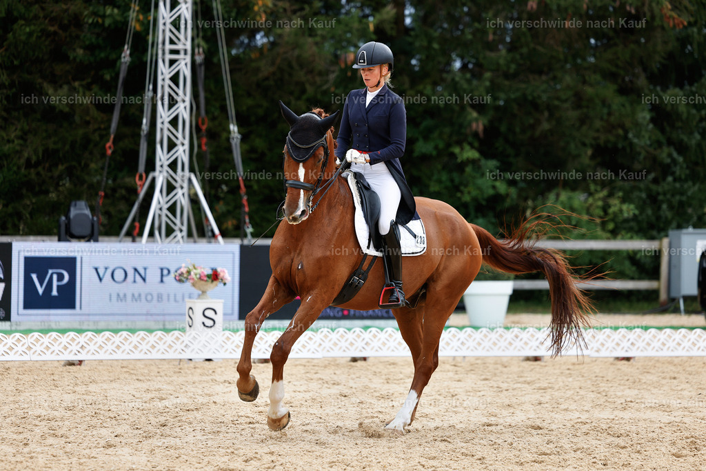 11-238-Dressur S___-StoibPH-986 | working equitationturnier fotograf videograf stoibphotography marixx film working equitation deutschland reitsport turnierfotografie eventfotografie equestrian events