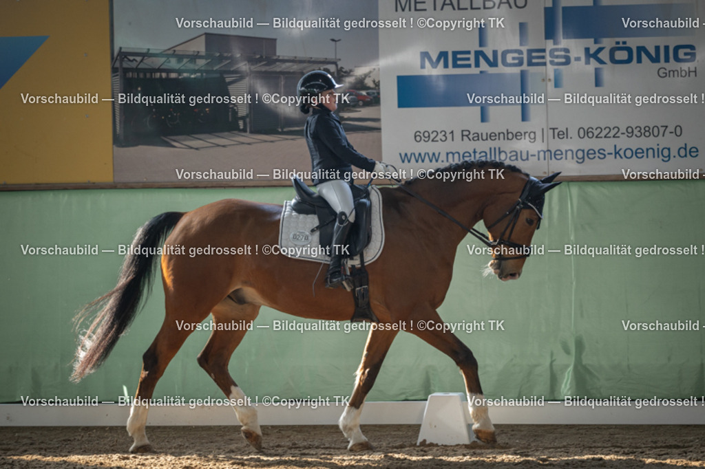 _D5A8223 | Emotionale Pferde- & People-Fotografie rund um Heidelberg, Leimen & Umgebung. Natürliche Fotos von Pferd, Mensch & Familie. Jetzt Termin sichern!