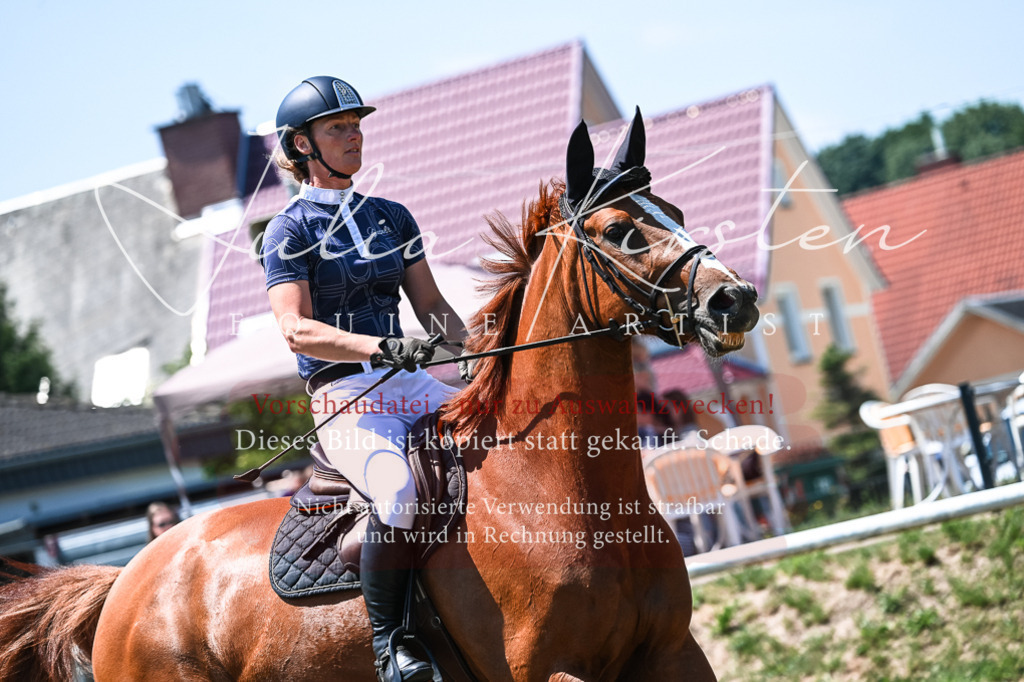 DSC_0135 | Pferde- und Turnierfotografie in Westsachsen. Pferdeportraits, Auftragszeichnungen und intuitive Kunst.