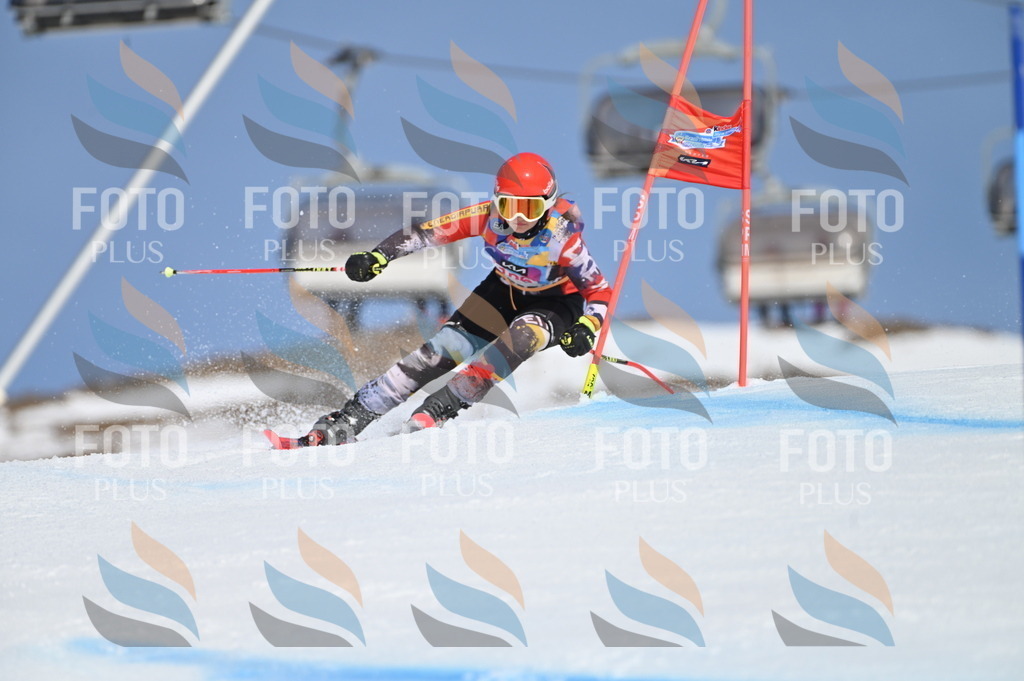 BGV_9555 | holidayphoto