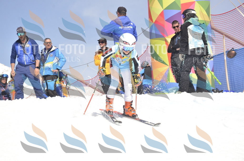 _ELE9573 | holidayphoto