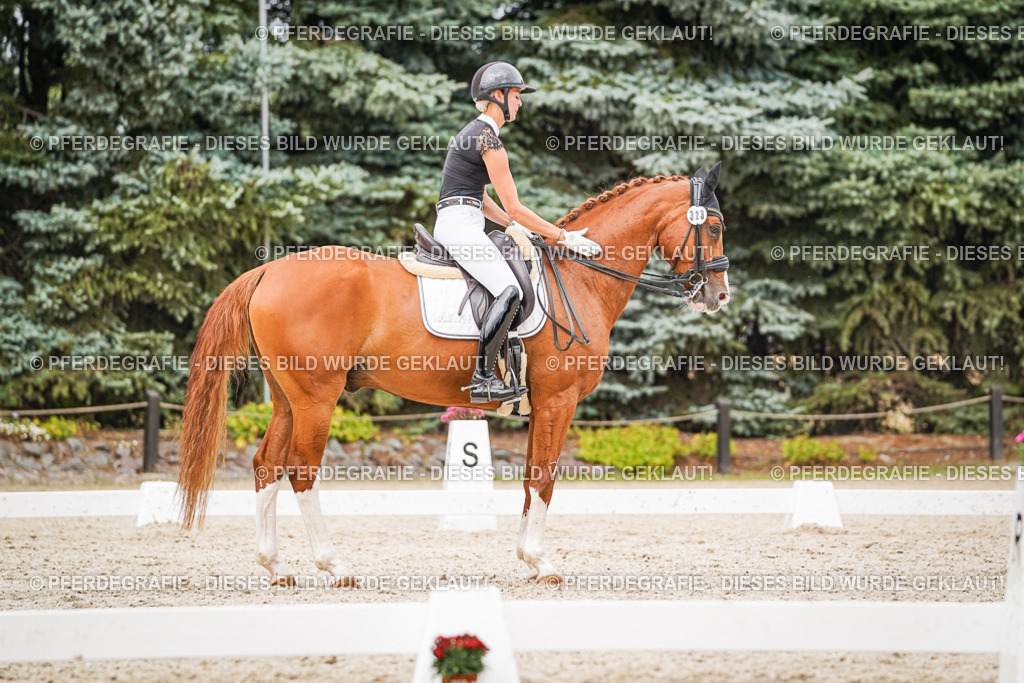 DSC08007 | Pferdegrafie