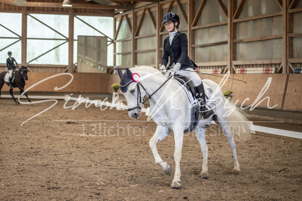20251011-_3LI7429 | Tierfotografie Pferde, Hunde, Katzen, Haustiere.
Turnierfotografie Reitturniere, Reiten, Springreiten, Dressur in Hanau, dem Main-Kinzig-Kreis und dem Rhein-Main- Gebiet um Frankfurt