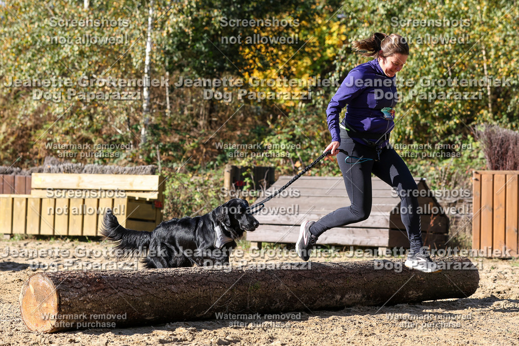 Dog Paparazzi - Strongdog 10-25-4774 | Dog Paparazzi Jeanette Grottendiek Fotografie & Videografie - Realisiert mit Pictrs.com