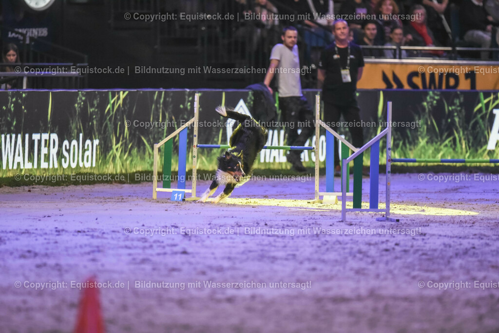 20231115_Dog-Agility_0092_TOMsPiC | Foto: Thomas Hartig