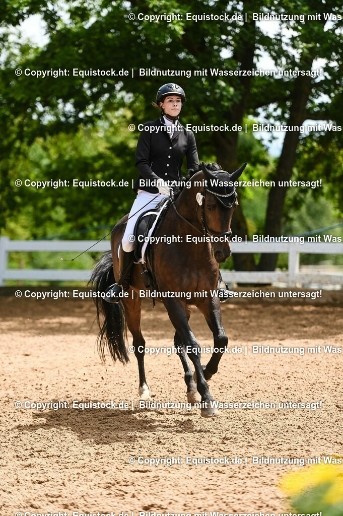 20230716_03_Dressurprfg. Kl.L - Tr._0576 | equistock