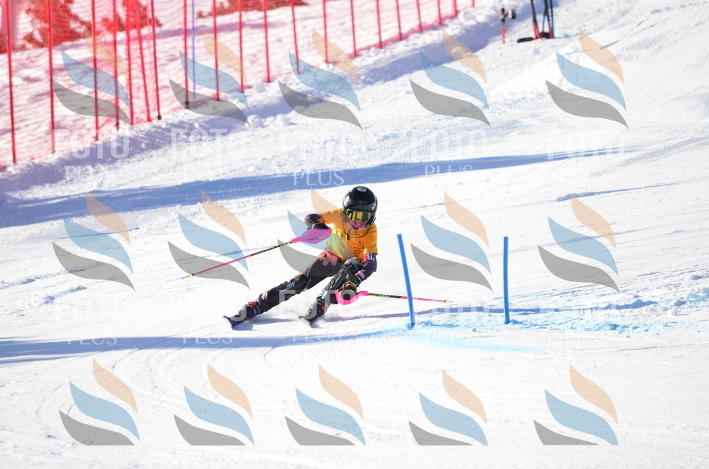 C5806 | holidayphoto