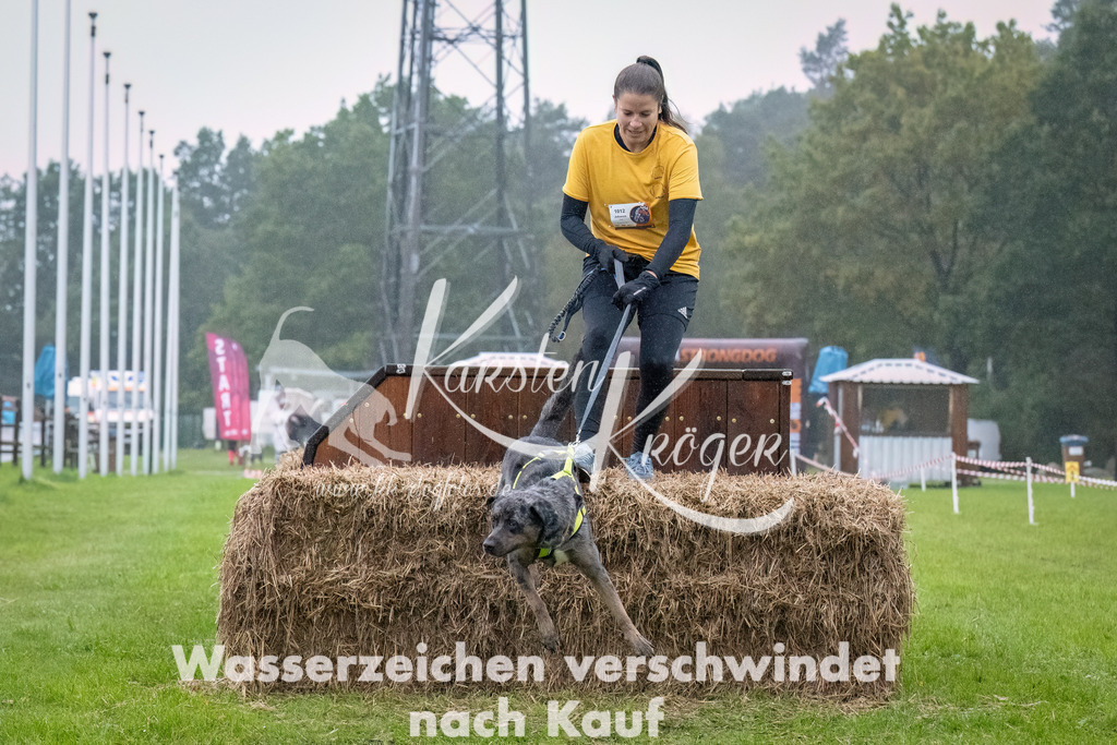 0908-_ZZ93324-Bearbeitet | kk-dogfotos