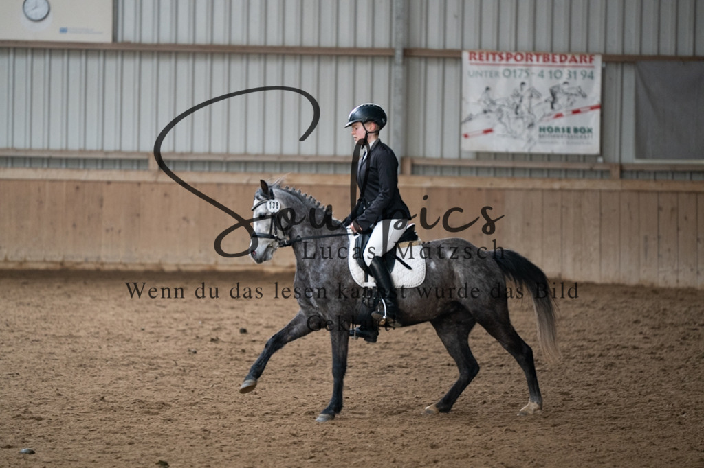 A7V05060 | Pferdefotograf