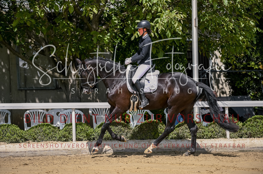 Schugtsche-Aluta25-48.Reitpferfdeprf.-219 | Schugtsche Fotografie - Realisiert mit Pictrs.com
