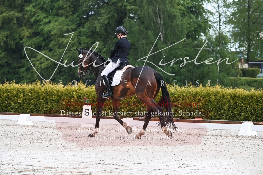DSC_4141 | Pferde- und Turnierfotografie in Westsachsen. Pferdeportraits, Auftragszeichnungen und intuitive Kunst.
