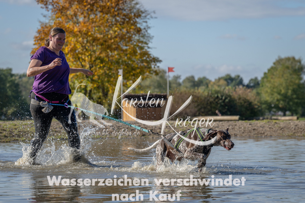 1333_ZZ90837 | kk-dogfotos