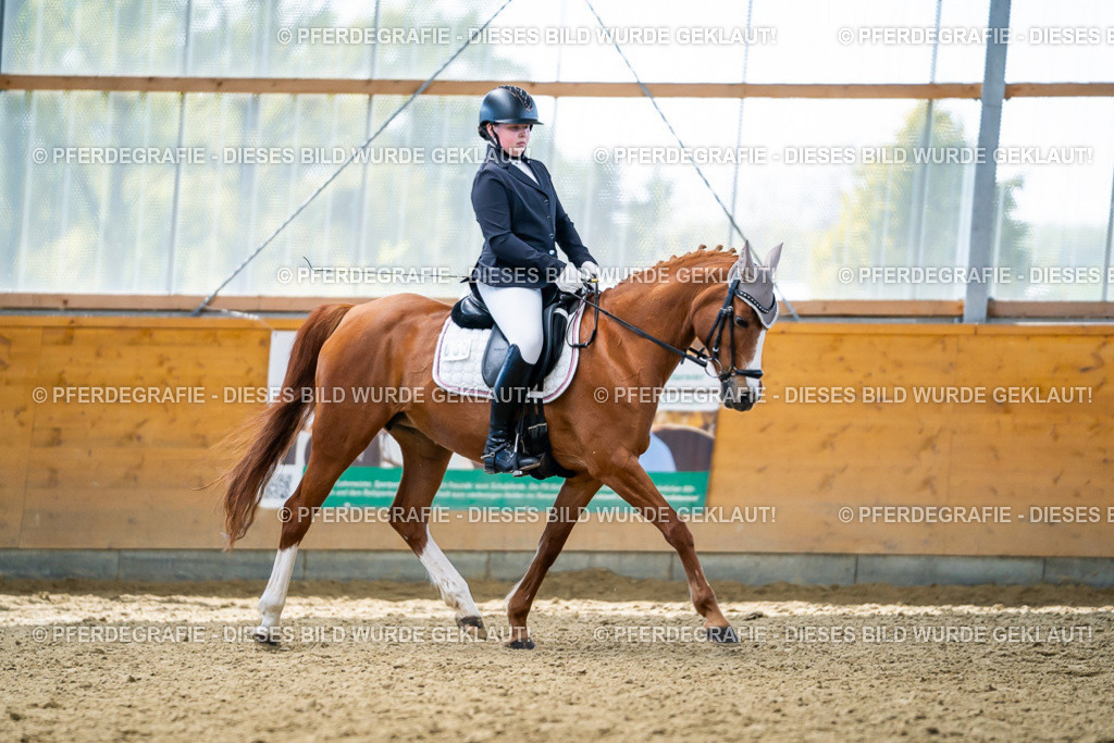 DSC05328 | Pferdegrafie