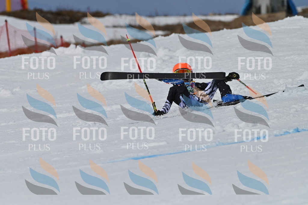 BGV_6933 | holidayphoto