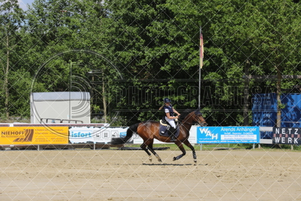 IMG_5427 | photographesa-joergens - Realisiert mit Pictrs.com