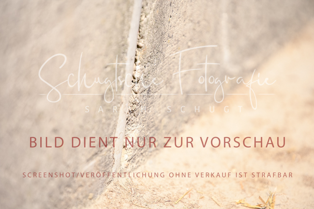 Schugtsche-Aluta25-49.Dressurpferdeprf.A-276 | Schugtsche Fotografie - Realisiert mit Pictrs.com