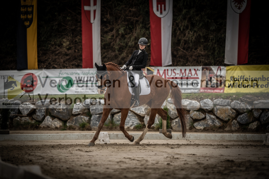 DSC_0132 | equestrian-live-com