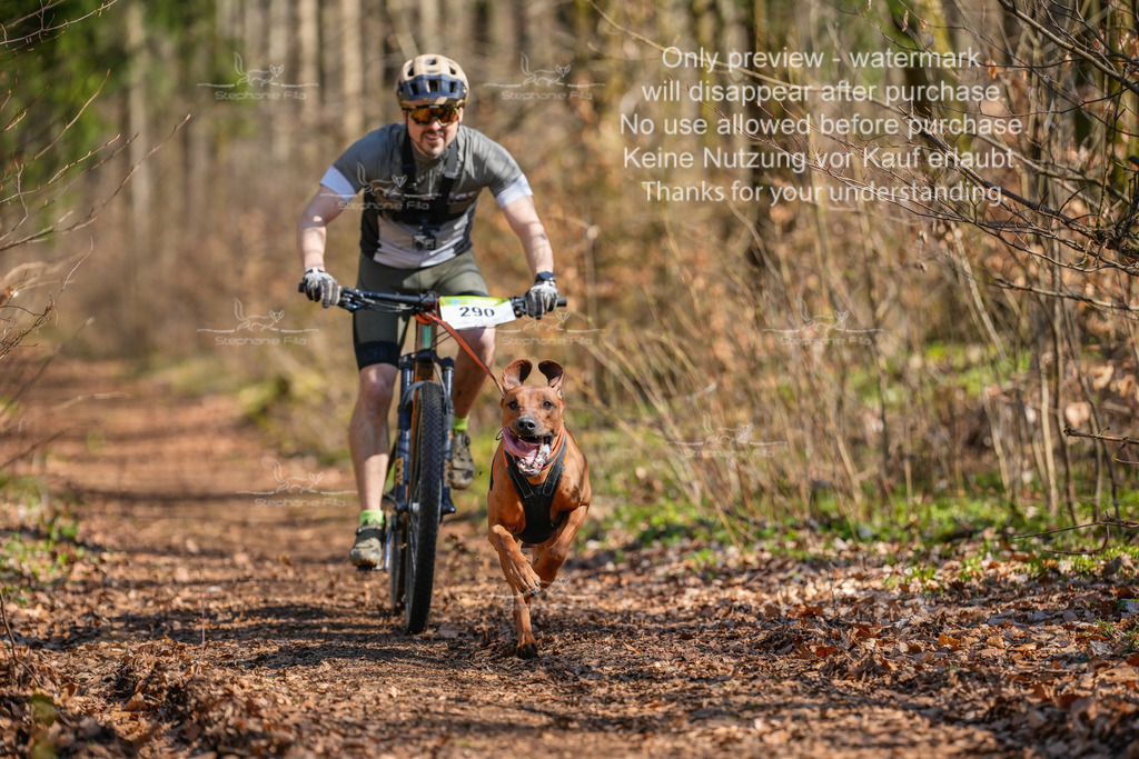 Bike_kurz_So-8 | stephaniefillaphotographie - Realisiert mit Pictrs.com