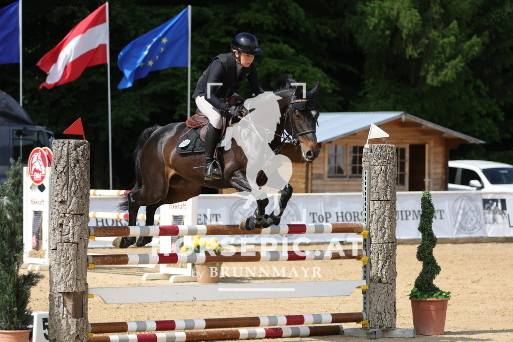 0P6A6847 | Willkommen bei Brunnmayr - Design & Fotografie – Ihrem Spezialisten für Reitturniere und Pferdeveranstaltungen in Oberösterreich, Salzburg und Bayern! Seit über 17 Jahren sind wir leidenschaftlich dabei.