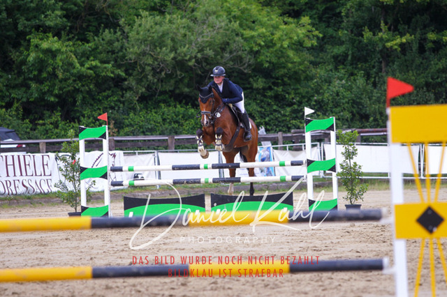 DKP41981 | Turniersportfotografie; Pferdefotografie; Dressurfotografie