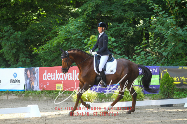 DKP42240 | Turniersportfotografie; Pferdefotografie; Dressurfotografie