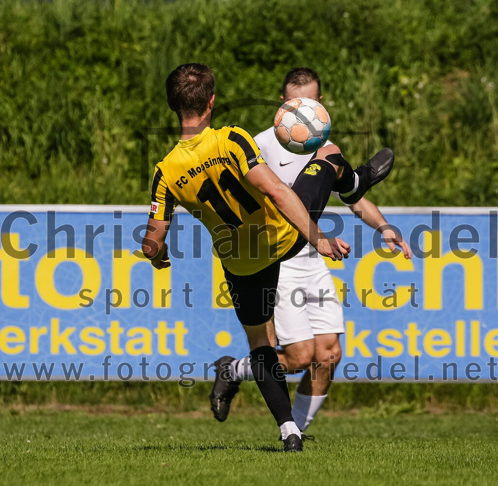 2023-08-19_084_FC_Moosinning_gegen_SV_Reichertsheim | Moosinning, Deutschland, 19.08.2023:
Fußball, Bezirksliga Oberbayern Ost 2023 / 2024, 5. Spieltag, FC Moosinning gegen SV Reichertsheim, Endergebnis: 0:4

Maximilian Lechner (FC Moosinning, #11)

Foto: Christian Riedel / fotografie-riedel.net