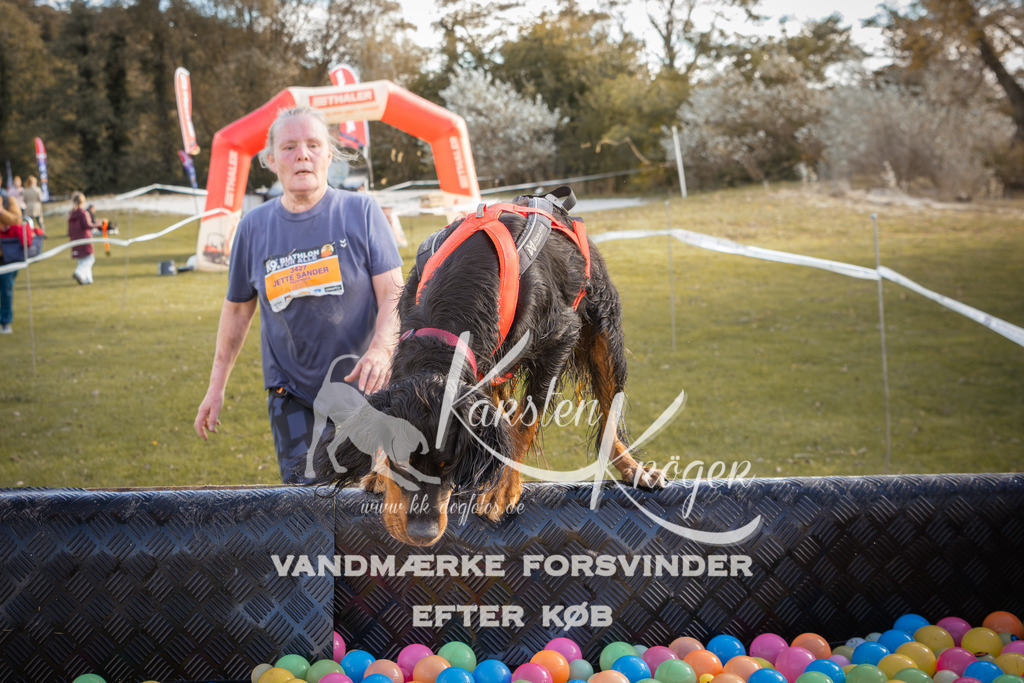 1320_ZZ90179-2 | kk-dogfotos