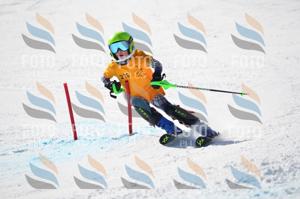 C8623 | holidayphoto