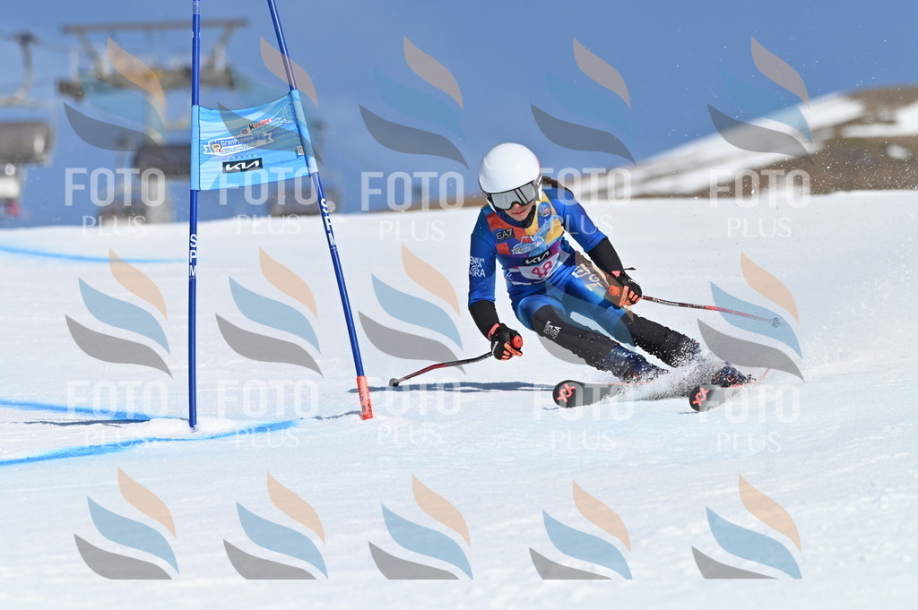 BGV_8500 | holidayphoto