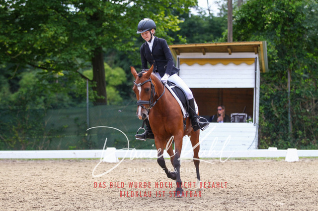 DKP42331 | Turniersportfotografie; Pferdefotografie; Dressurfotografie