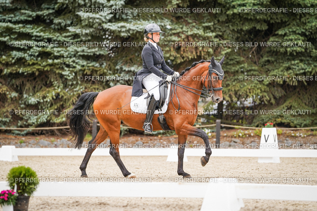 DSC07187 | Pferdegrafie