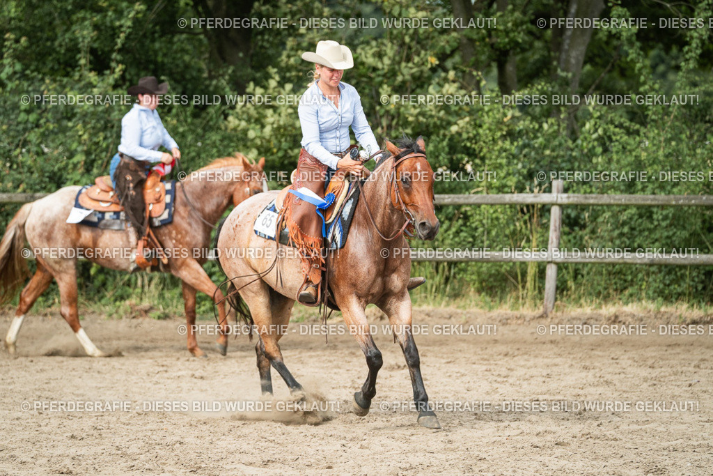 DSC04653 | Pferdegrafie