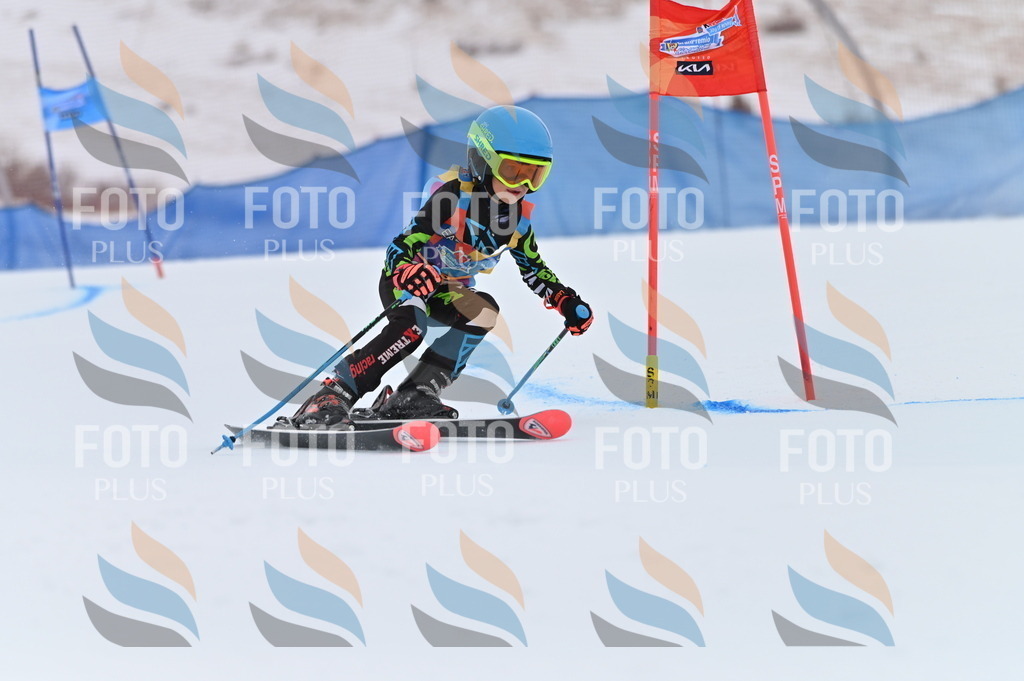 BGV_2122 | holidayphoto