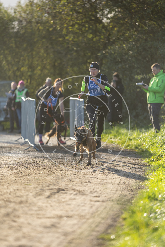 Pfotenfotografie.de_DV3A2948 | Hundefotografie, Tierfotograf, Pfotenfotografie, Fotoshooting Hund, Hunde Portrait, Hundesport, Hundeportraits, Heideshooting, Hunde, Sportfotograf, Hundefotograf, Turnierhundsport, THS, canicross - Realisiert mit Pictrs.com