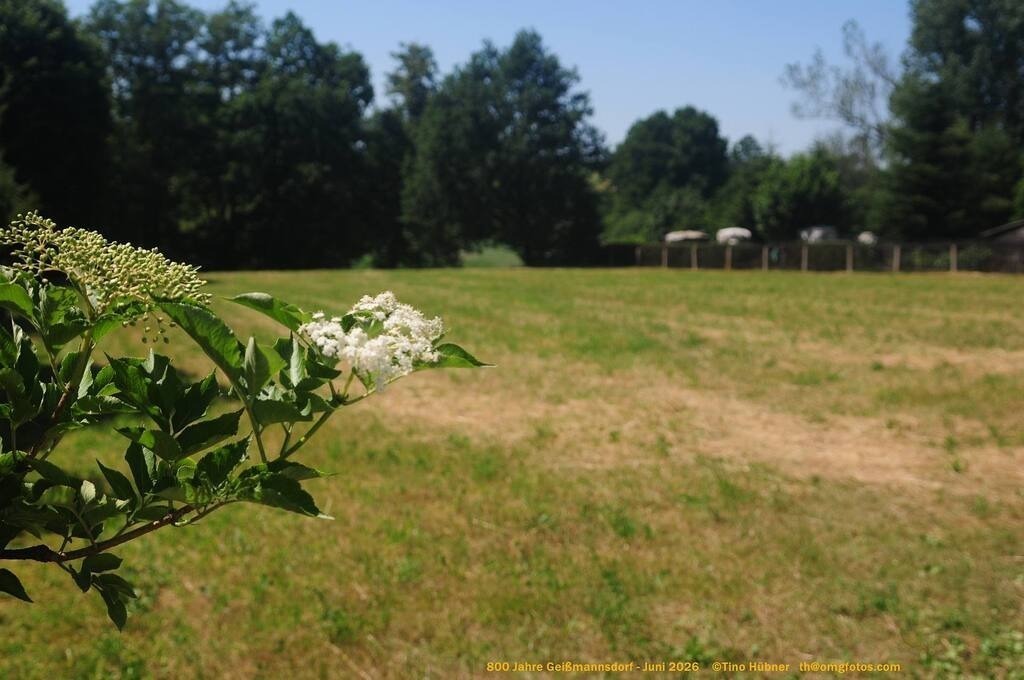 Geißmannsdorf-2026-Ortsbilder-604 | Geißmannsdorf bei Bischofswerda im Sommer 2026. Ein fotografischer Streifzug durch das Dorf Geißmannsdorf, mit Gebäuden, Straßen, Strohpuppen und geschmückten Vorgärten und Grundstücken anlässlich der 800-Jahr-Feier von Geißmannsdorf im Juni 2026 - Realisiert mit Pictrs.com