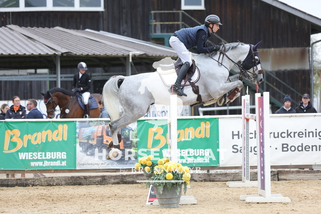 0P6A4183 | Willkommen bei Brunnmayr - Design & Fotografie – Ihrem Spezialisten für Reitturniere und Pferdeveranstaltungen in Oberösterreich, Salzburg und Bayern! Seit über 17 Jahren sind wir leidenschaftlich dabei.