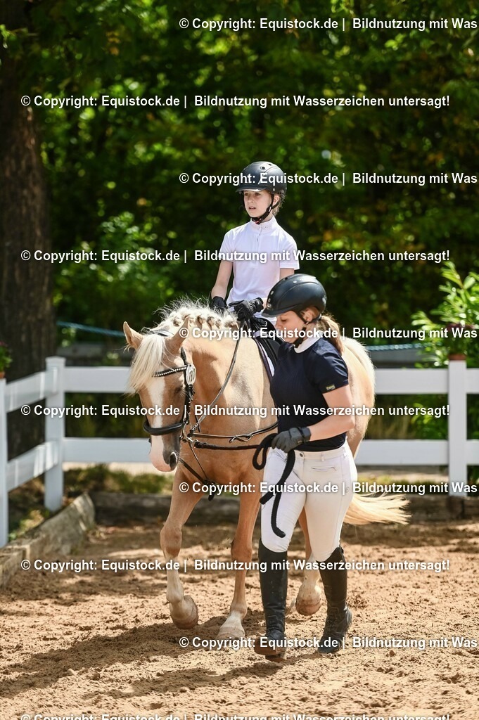 20230716_11_Führzügel-WB_0083 | equistock