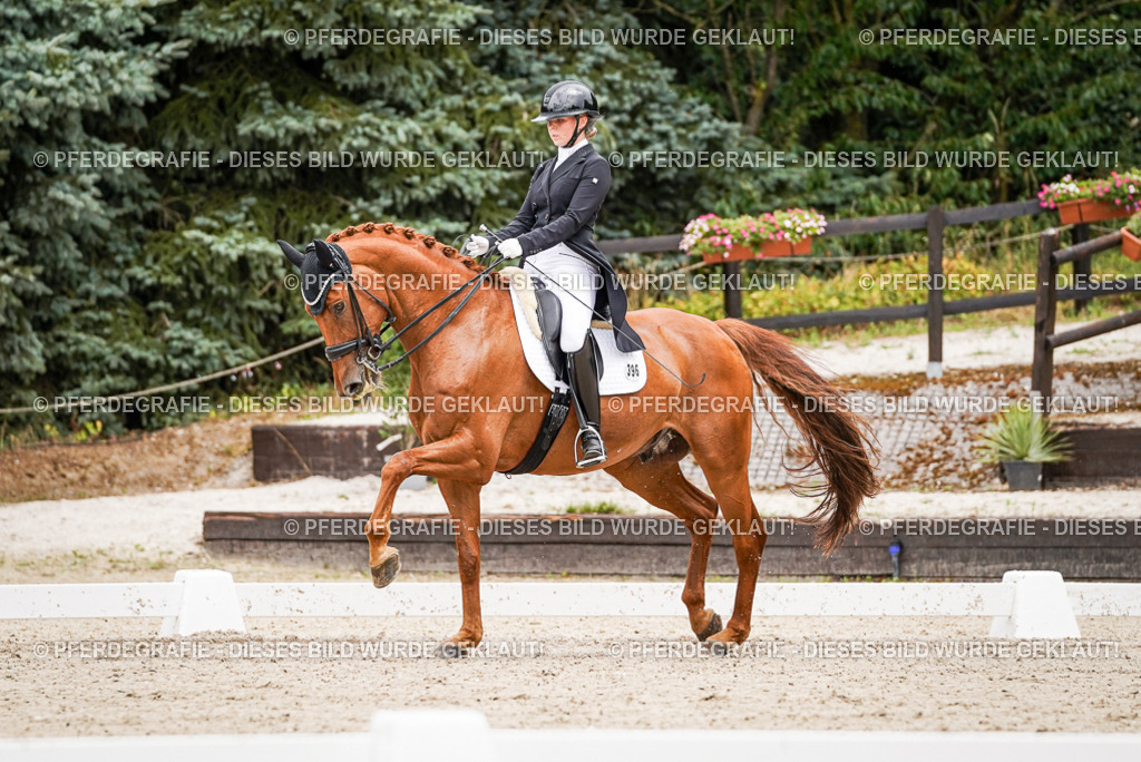 DSC05155 | Pferdegrafie