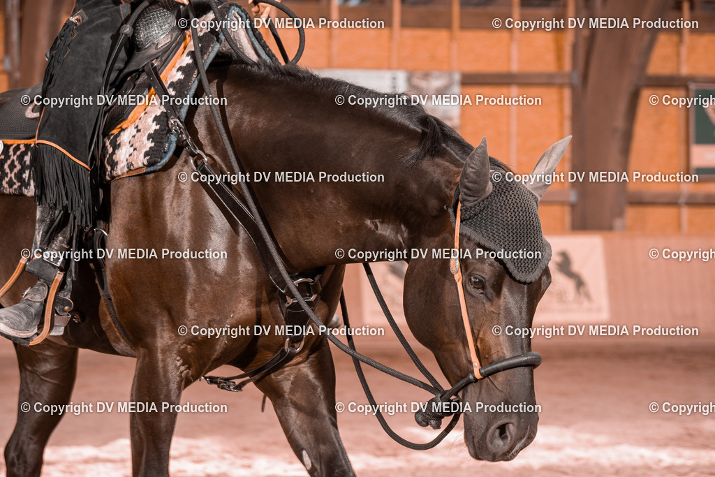 NE300591 | dv-media-shop - Realisiert mit Pictrs.com