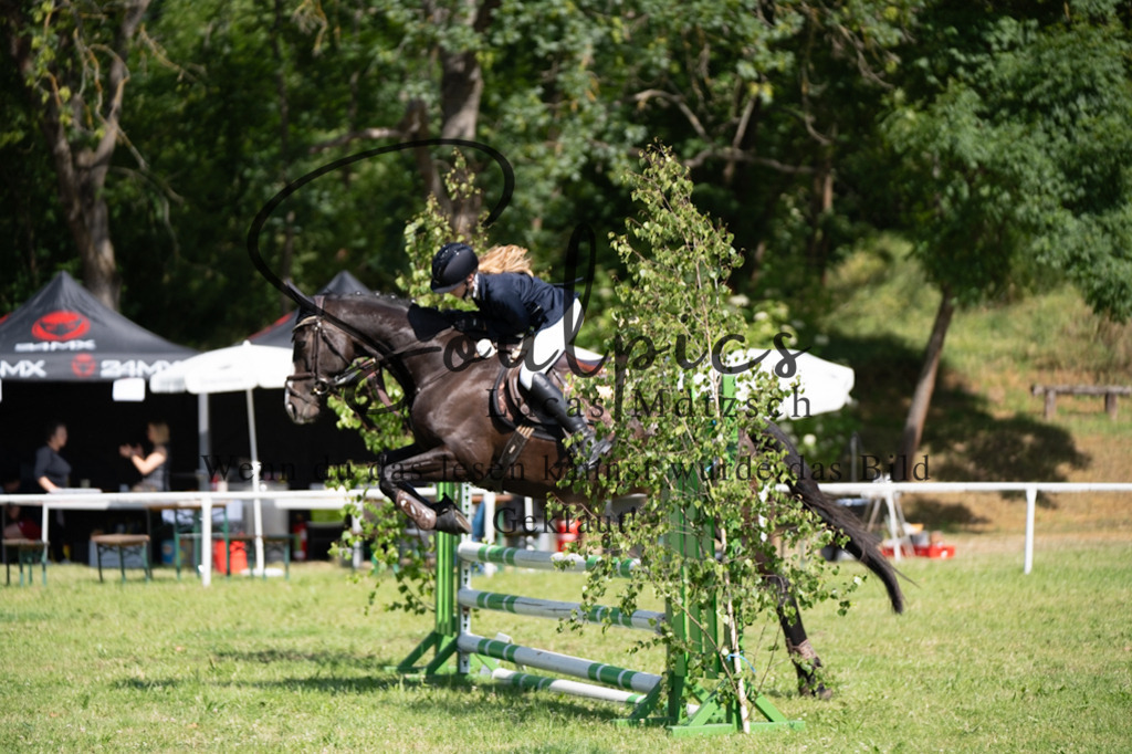 A7V05438 | Pferdefotograf